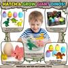 Hatching Dinosaur Egg, Water Growing Toy For Boys & Girls, Expandable Dino Egg In Water, Kids Toy=