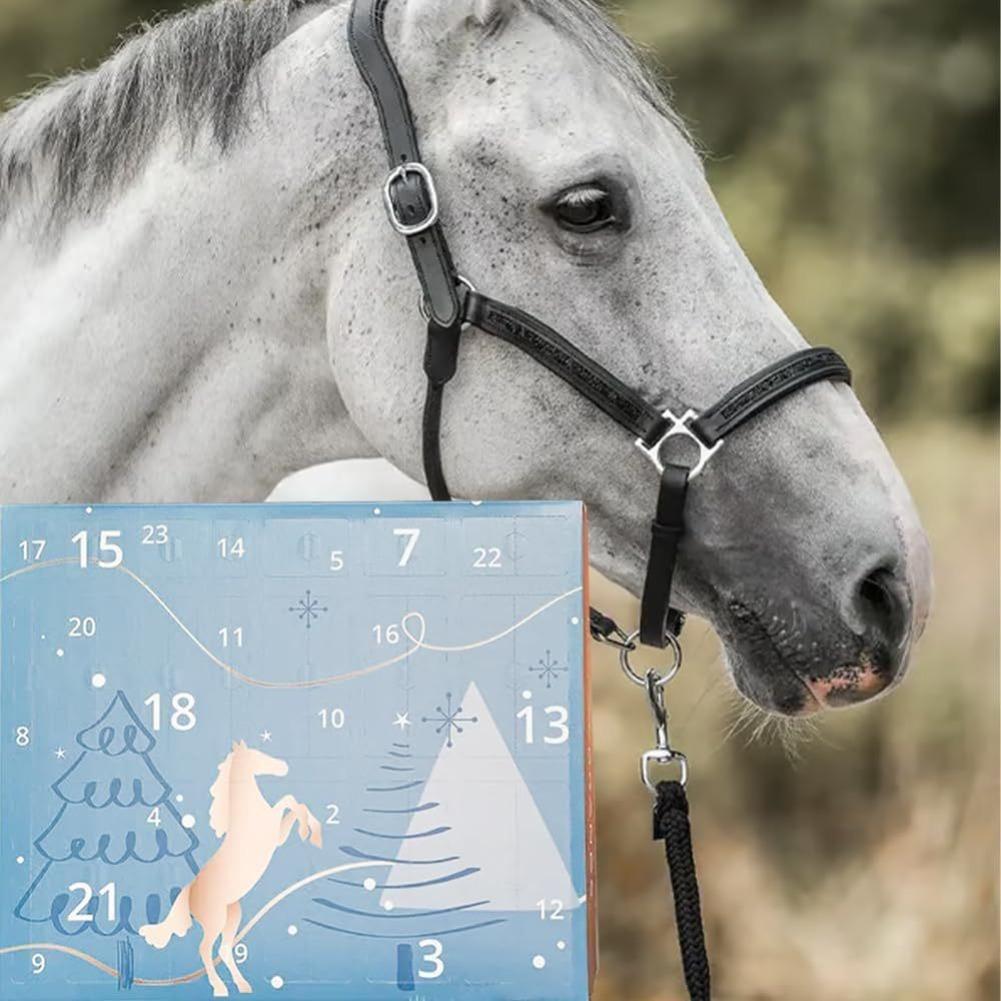 2025 HORSEBRANDS Adventskalender 24 Tage Countdown Tägliche Überraschungen & Weihnachtsgeschenk Winterhimmel Themenkalender Für Pferdebesitzer