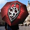 Sb29 Badge Emblem Automatic Folding Umbrella - 8-Rib Travel Umbrella with Auto Open/Close & Portable Gifts for holidays or birthdays