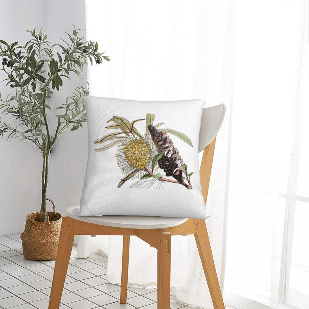 Banksia Flower Pod Australian Flora Yellow Square Pillowcase Pillow Cover Cushion Throw Pillow For Home Bedroom Car