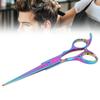 6 Inch Hair Thinning Scissors Stainless Steel Professional Shears Salon Haircut Scissors for Men Women Kids