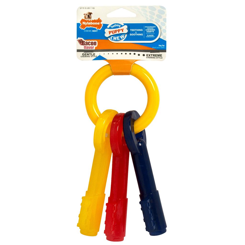 Nylabone Puppy Teething Key XS [Used]