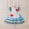 Alice In Wonderland Blue Maid Heart Princess Dress Halloween Costume for Girls