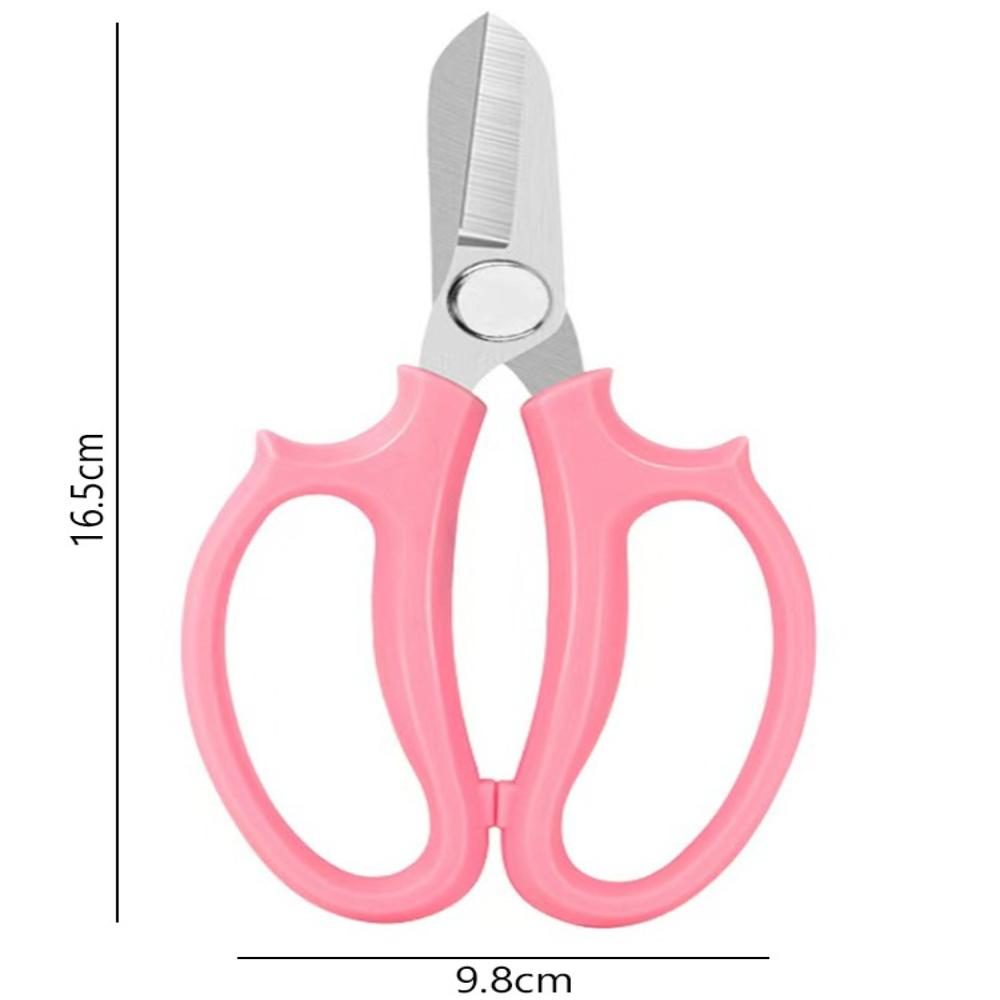 Professional Floral Shears Sharp Flower Trimming Scissors for Garden Bouquet Cutting