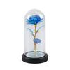 Valentine's Day Immortal Flower Glass Cover Colorful Rose Led Light Desktop Ornament, Birthday Gift Spot