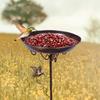 Freestanding Bird Bath Bowl Wildbird Drinking Gift Bird Feeder Tray Feeding Station for Park Yard Outdoor Attracting Birds Porch