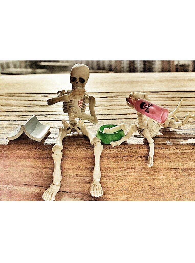 Skull Toy Pose Skeleton Human Body Flexible Model Doll For Home Decor And Gifts