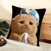 Cute Cat Cushion Cover Soft Short Plush Pillow Cover Smooth Cozy Texture Aesthetic Cushion Case Home Decor