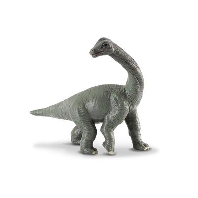 Figura de dinossauro CollectA bebê braquiossauro (Pequeno)