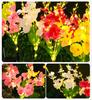 Solar powered simulation butterfly orchid lantern outdoor waterproof courtyard park atmosphere lawn decorative light