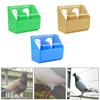 Pigeon Feeder Hanging Box Lightweight Heavy Duty Dove Bird Feeding Case Food Feeder for Parrots Pigeons Budgie Cockatiels