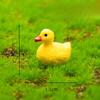 Micro-landscape Decorative Items, Such As Simulated Ducks, Are Small Resin Craft Decorative Items for Garden Landscaping