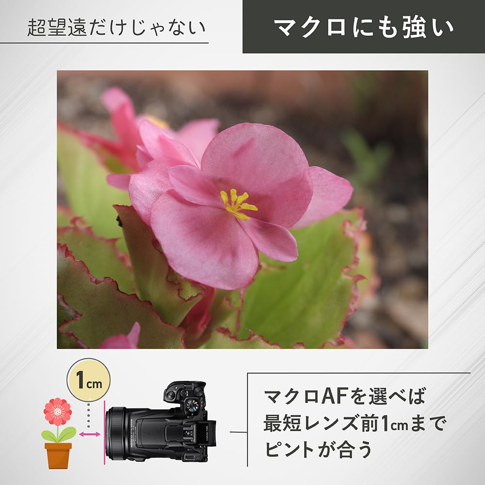 Nikon Digital Camera COOLPIX P1100 Super Telephoto Zoom Camera