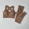 Women's Quick-Dry Seamless Sports Bra and Leggings Set - Shockproof Vest for Running and Yoga