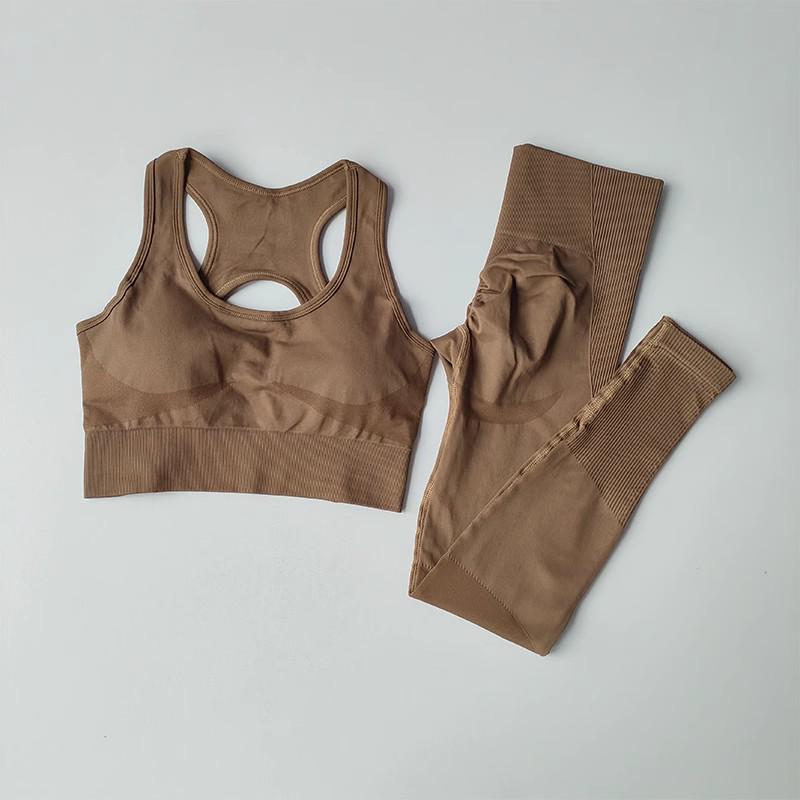 Women's Quick-Dry Seamless Sports Bra and Leggings Set - Shockproof Vest for Running and Yoga