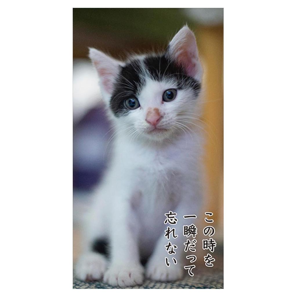 2025 Cat Senryu (Spațiul de lucru) Calendar Nr.030