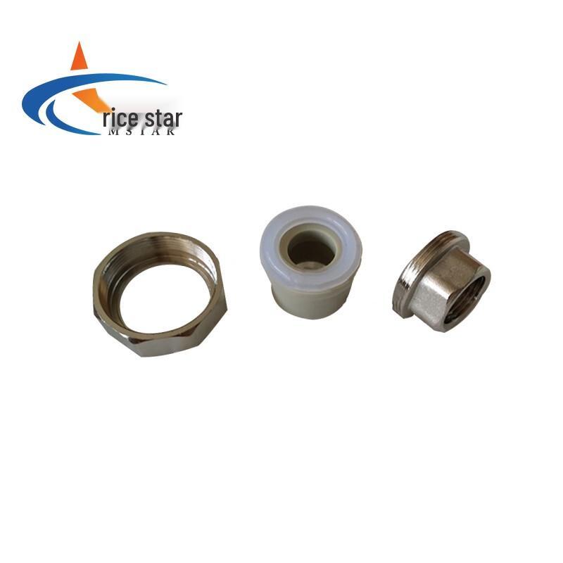MSTAR PPR Brass Female Thread Live Joint Pipe Connector