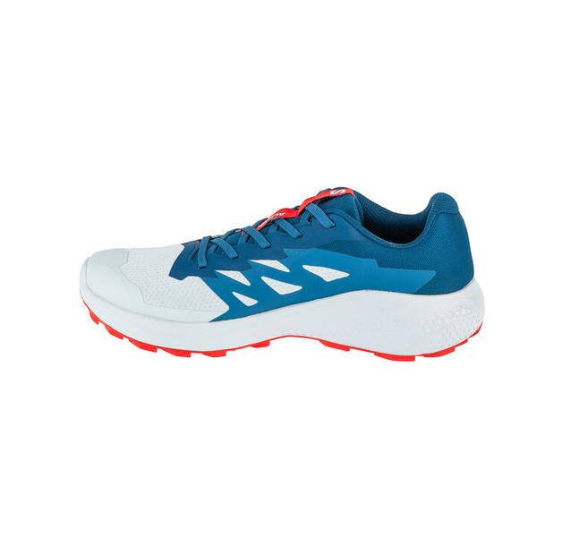 Беговые кроссовки Salomon Alphaglide Ballad