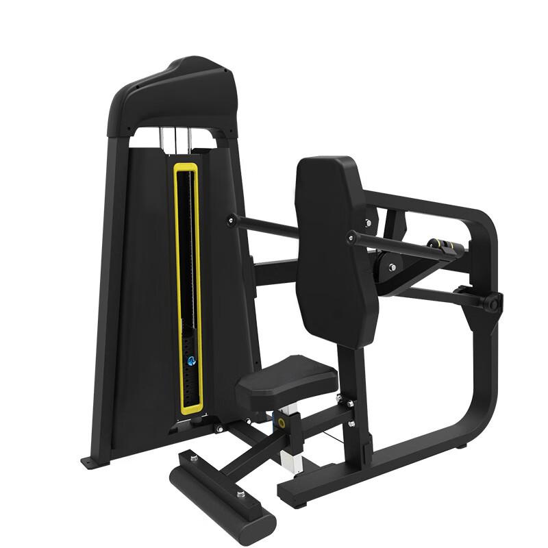 Lanou Triceps Pushdown Machine