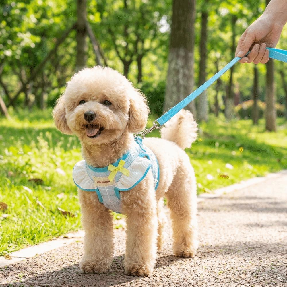 Adjustable Pet Harness Leash Comfortable Fit Dog Collar Harness Set Dog Chest Strap Daily Use
