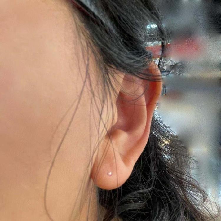 Invisible Earring Piercing Earrings Ball Nose Studs Pins Bone Piercing Jewelry for Women and Girls Male/Female Ear Studs