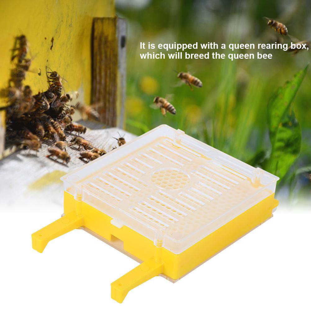 Queen Rearing Package Queen Cell Protective Cover Full Bee Breeding Set for Beekeepers
