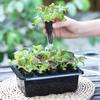 50 Stück Samenwachstumsschwämme, Ersatzschwämme für Wurzelwachstum, Setzlings-Starterstopfen, Samenstarter, Seed Pod, Hydrokultur-Gartenbepflanzung