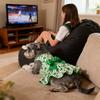 Festive St. Patrick's Day Dog Dress - Adorable  Pet Outfit For Small & Medium Breeds
