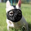 Cães – Produtos para treino de animais