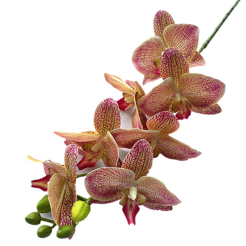 One Real Touch Butterfly Orchid Flower Branch Seven Heads Artificial Moth Phalaenopsis Orchid