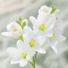 Moisturizing Film Feel Silk Fake Flower Realistic Flower Decoration  Flower Arrangement