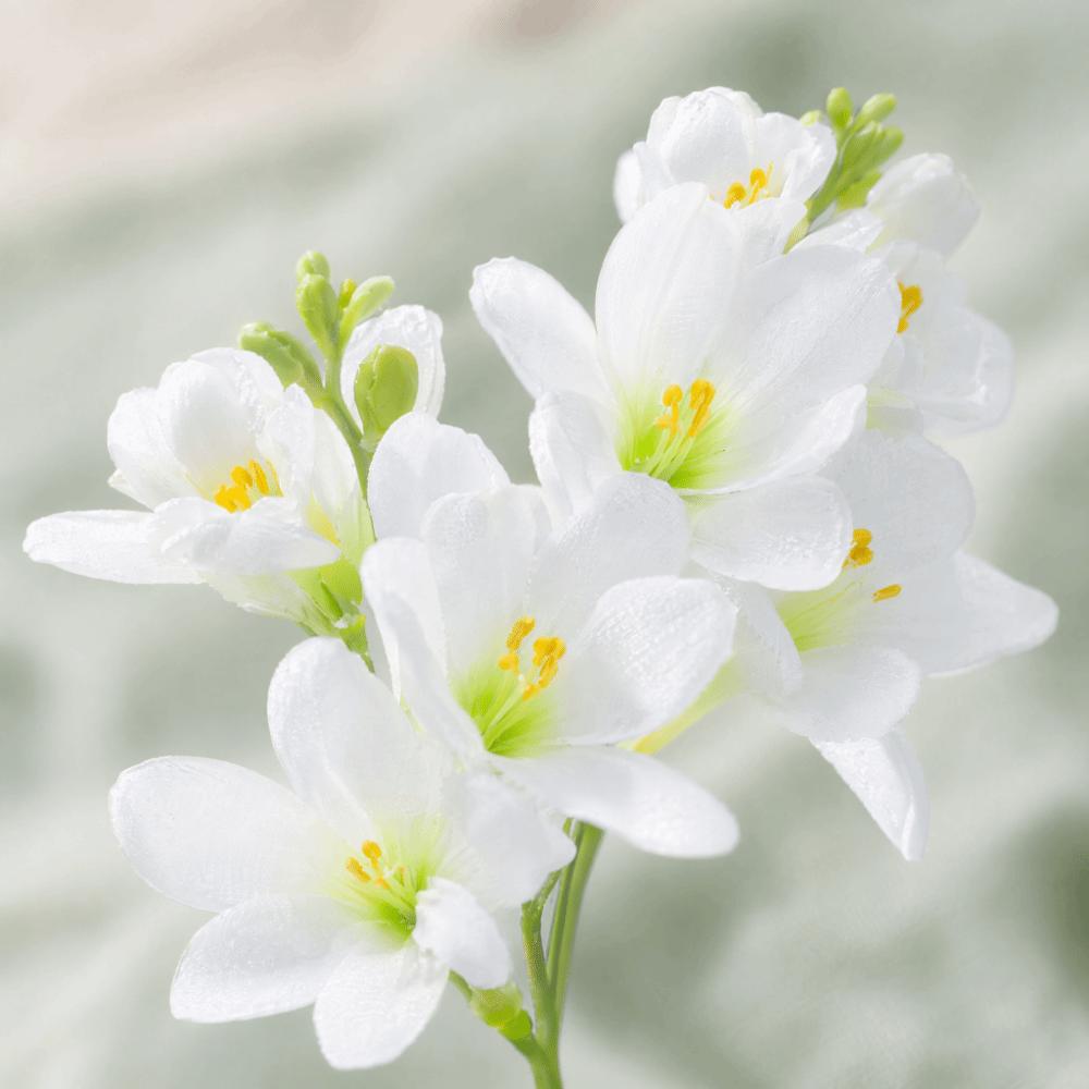 Moisturizing Film Feel Silk Fake Flower Realistic Flower Decoration  Flower Arrangement