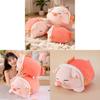 Plush Pig Toy With Pp Cotton Filling For Kids And Adults Perfect As Birthday Gift