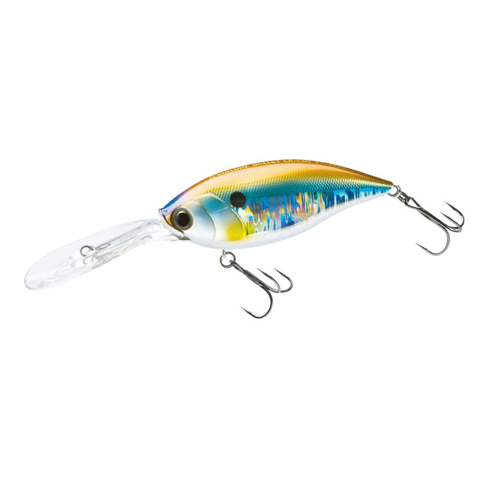 

DUEL Hardcore Bullet Crank 100F Crankbait Saltwater Sea 100mm Holo Shad 7+ [Fishing Tackle, Fishing, Freshwater, Bass] R1422-HSH 06
