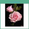 5d Diamond Embroidery Floral Diy Diamond Painting Cross Stitch Picture Full Round Diamond