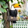Realistic Toucan Bird Figurine Bird Model Bird Figurine Cute Toucan Tree Hugger Statue  Living Room