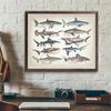 Sharks of The World Art Canvas Prints Great White Shark Poster Mako Hammerhead Tiger Bull Basking Whale Painting Bathroom Decor