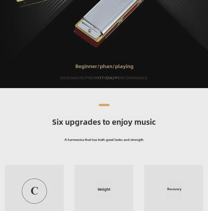 Gaita Polifônica Chimei de 28 Furos de Ampla Gama em Dó para Iniciantes e Profissionais