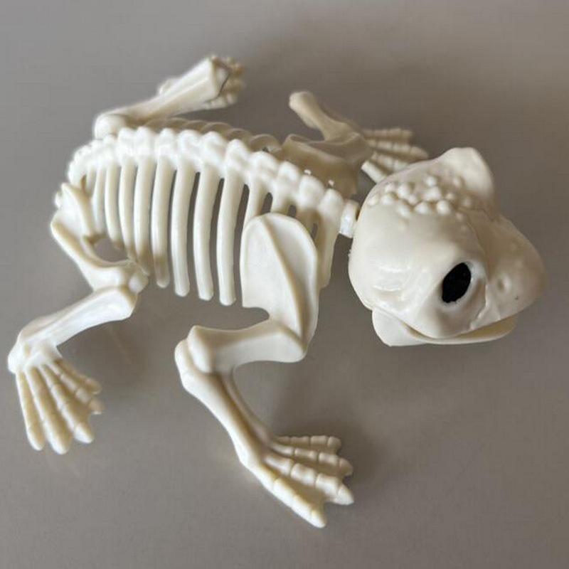 Halloween Skeleton Animal Set: Bat, Spider, Scorpion, Mouse, Snake, Toad & Haunted House Props