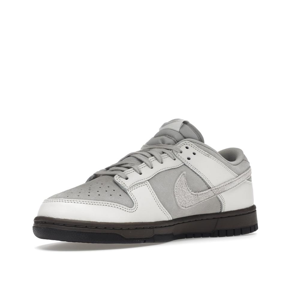 Nike Dunk Low Retro FD9746-001