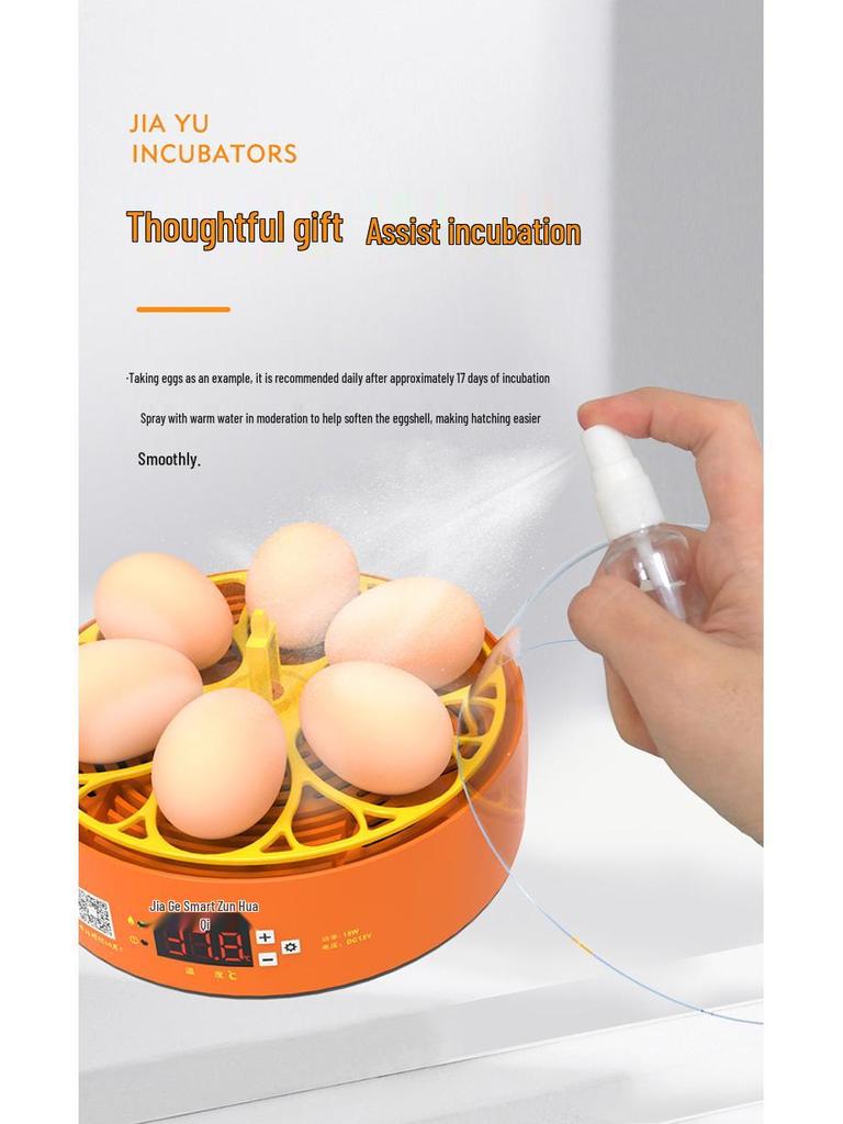 Smart Fully Automatic Small Egg Incubator for Home & Kids