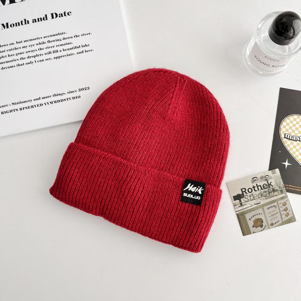 Korean Version of All-match Letter Labeling Flip Hat Brim Wool Hat Windproof Cold Hat Autumn and Winter Warm Knitted Hat Label