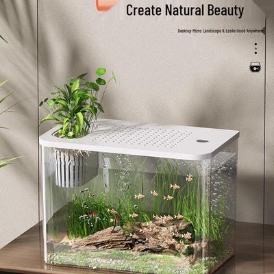 Umweltfreundliches Desktop-Aquarium - Kleines transparentes Goldfisch-Aquarium für Zuhause oder als Dekoration für den Couchtisch