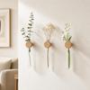 Home Ornaments Wall Mounted Planter Vase Flower Pot Planter Holder  Hydroponics