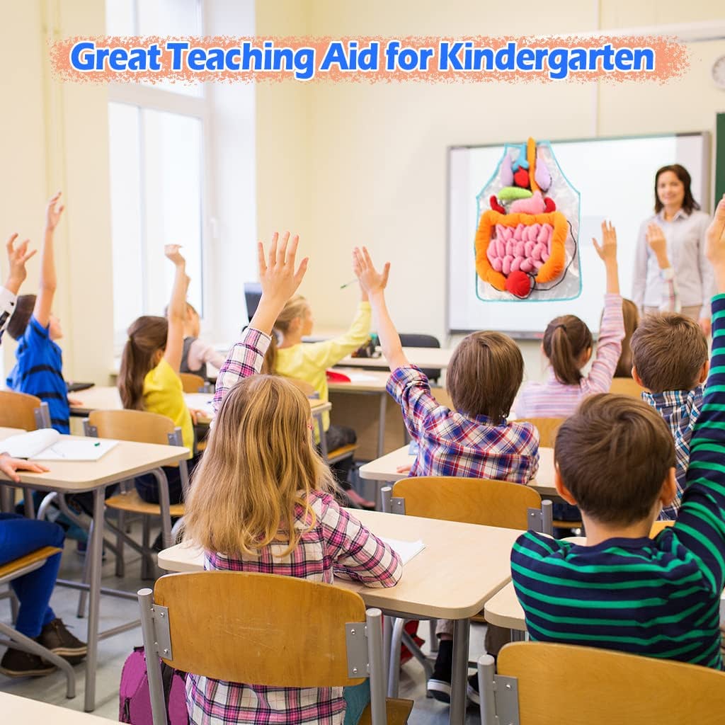 3D Organ Apron,  Anatomy Apron Human Body Organs Awareness Educational Toy for Home Preschool Teaching Aid