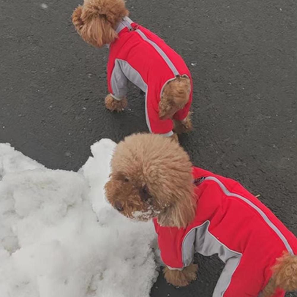 Warme Winterkleidung für Hunde mit D-Ring, dickes Fleecefutter, wasserdicht, winddicht, Jacke für Welpen, Chihuahua, fester Kostümmantel, Kleidung für französische Bulldogge