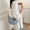 Plaid Trend Casual 2025 New Autumn New Fashion Personality Simple One Shoulder Crossbody Dumpling Women's Bag