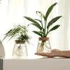 1PC Transparent Round Flower Vase Hydroponic Container Micro Landscape Ecological Glass Bottle With Wooden Stopper Home Decor