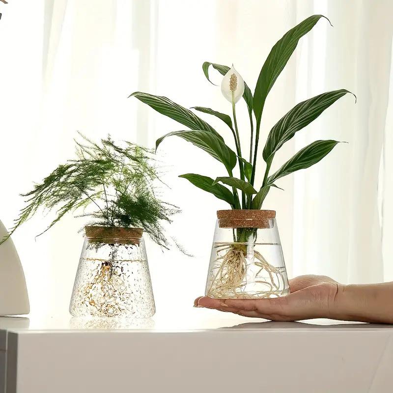 1PC Transparent Round Flower Vase Hydroponic Container Micro Landscape Ecological Glass Bottle With Wooden Stopper Home Decor