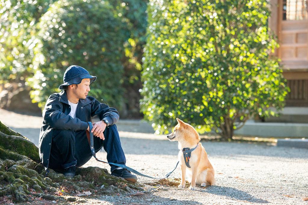 EZYDOG (Authorized Distributor) Soft Trainer Dog Leash, Denim, 120cm